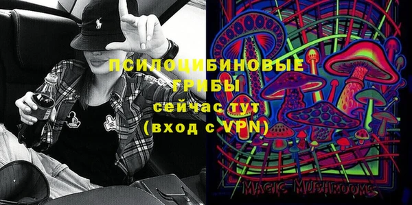 молекула духа Кодинск