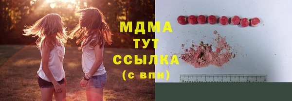 молекула духа Козельск