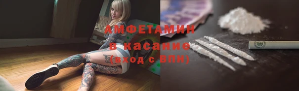 молекула духа Козельск