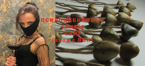 молекула духа Кодинск