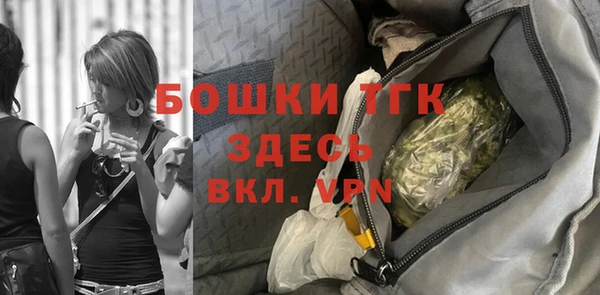 молекула духа Козельск