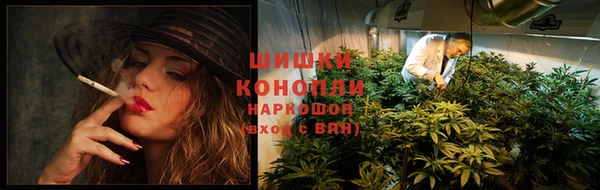 гидра Щучье