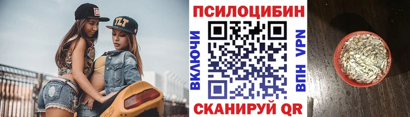 Купить закладки  Знаменск  Галлюциногенные грибы Psilocybe 